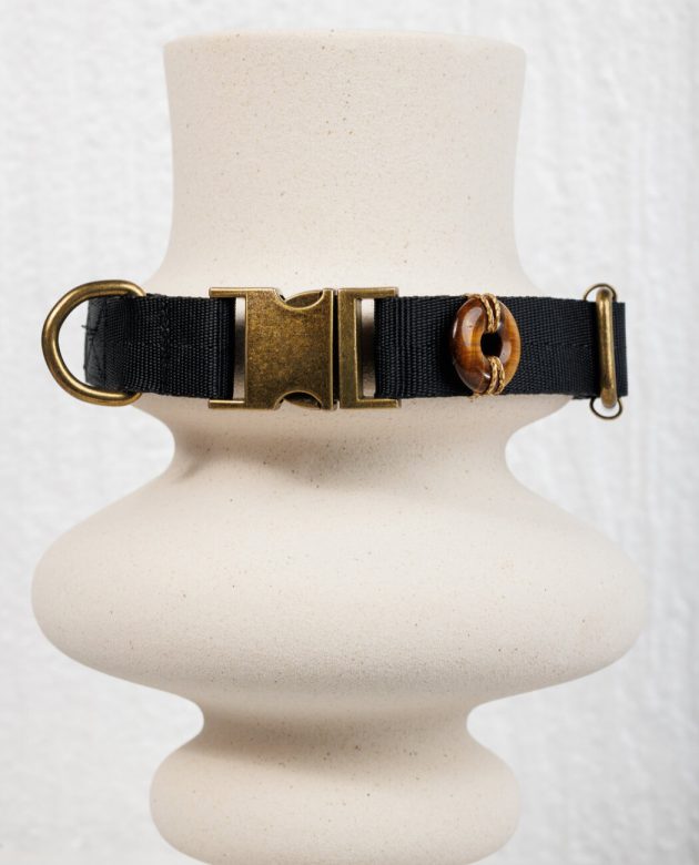 κολάρο σκύλου με το μάτι της τίγρης που καταπολεμά την ανασφάλεια